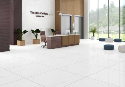 Nube Bianca Porcelain Tile