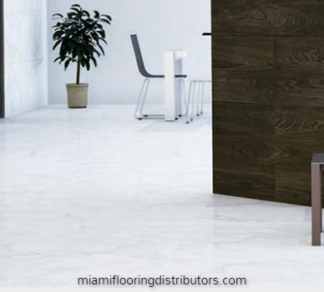 Persia White Brillo 24x24 inch | Floor Tile
