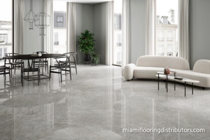 Aran Grey Polished 24x48 | Porcelain Tile | Marble Look