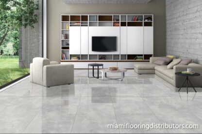 Concrete Cenere Polished 24x48 | Porcelain Tile | Cement Look